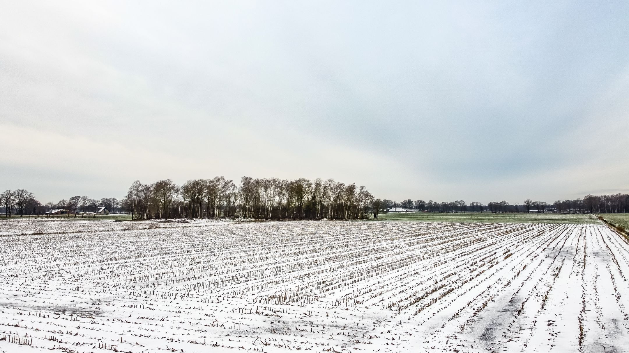 Foto 24 van Landgoed Albergerveld