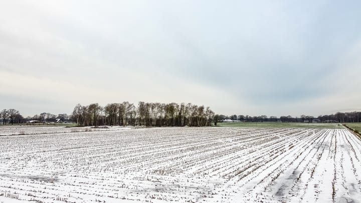 Foto 24 van Landgoed Albergerveld