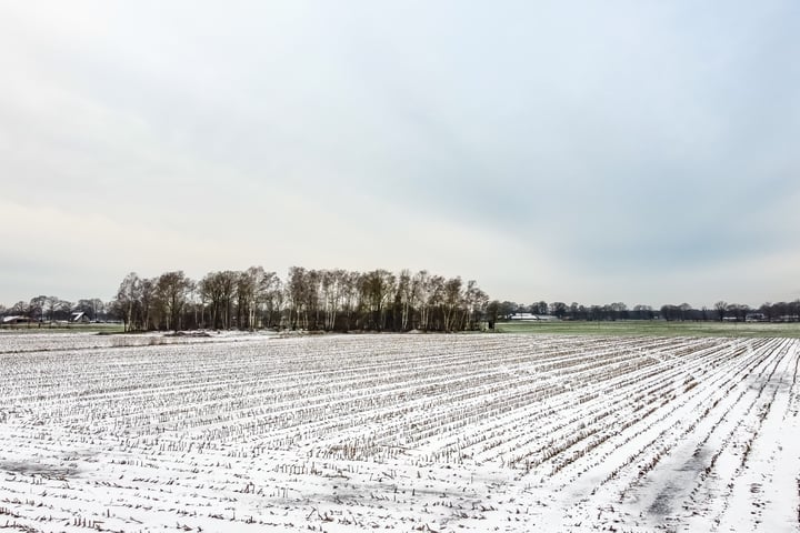 Bekijk foto 23 van Landgoed Albergerveld