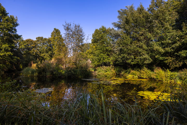 Bekijk foto 46 van Gooyerdijk 18