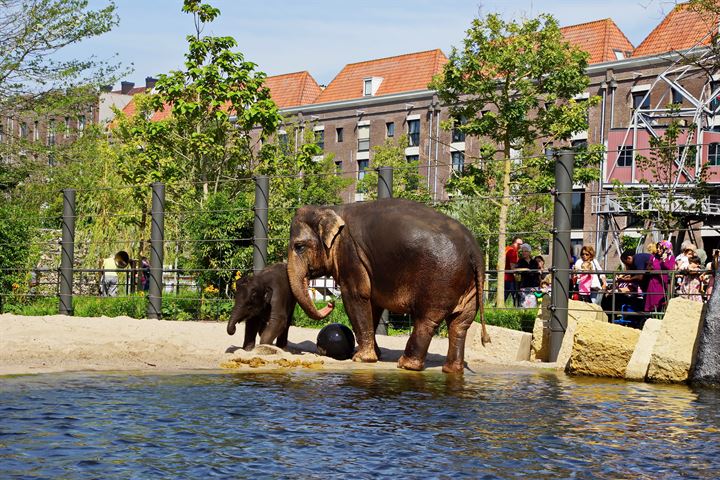 Bekijk foto 33 van Sarphatistraat 476