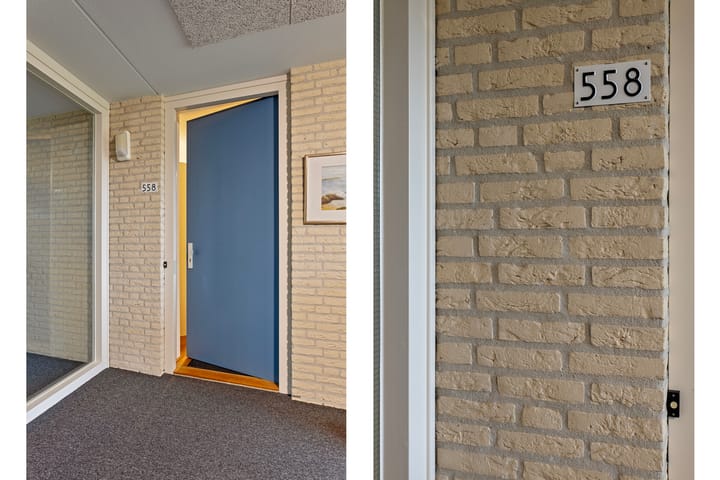 Foto 18 van Schaepmanlaan 558