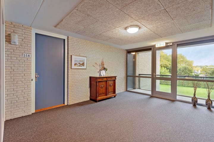 Foto 19 van Schaepmanlaan 558