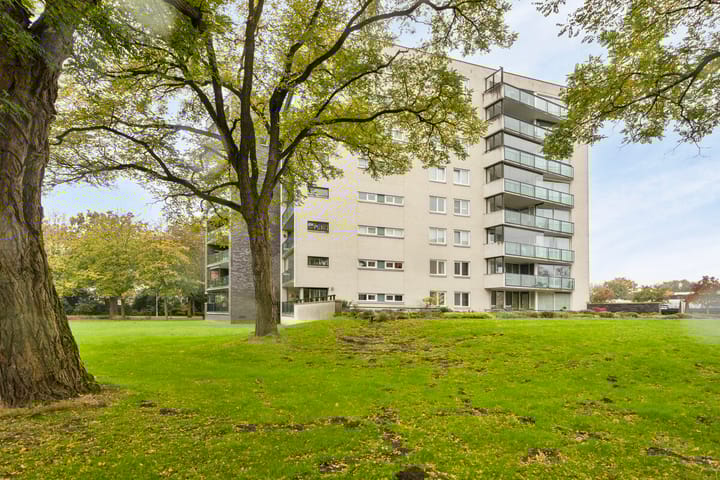 Foto 27 van Schaepmanlaan 558