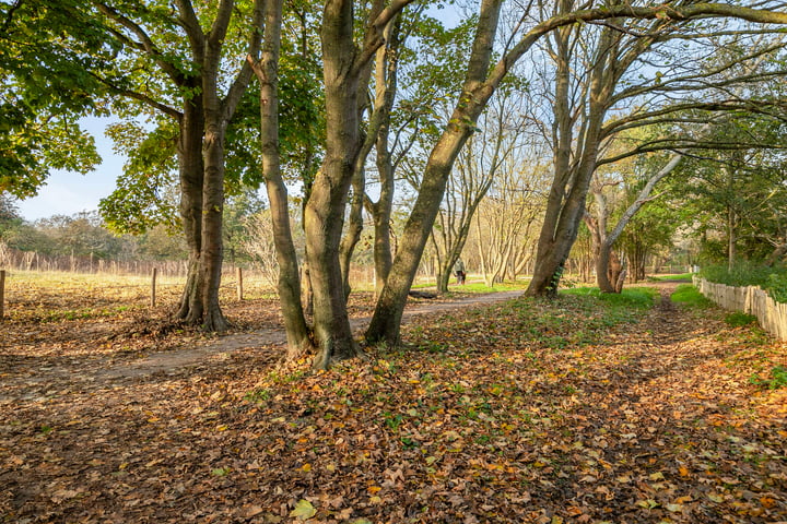 Bekijk foto 49 van Zandzeggelaan 131