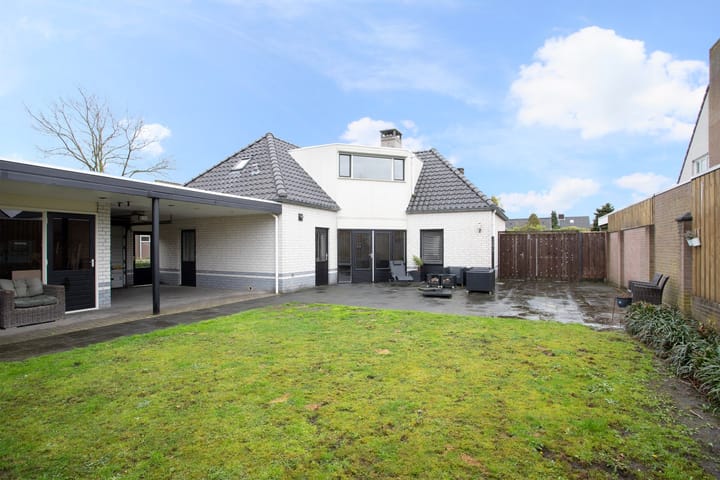 Foto 2 van Gentiaan 2