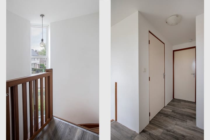 Foto 21 van Gentiaan 2