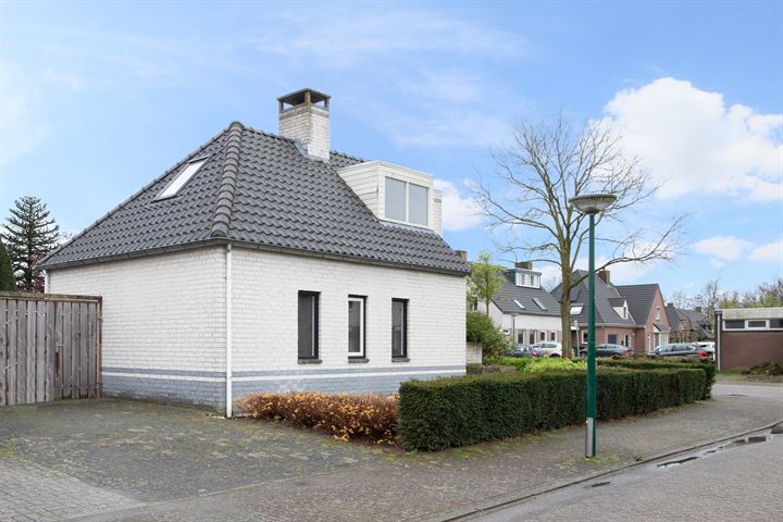 Bekijk foto 35 van Gentiaan 2