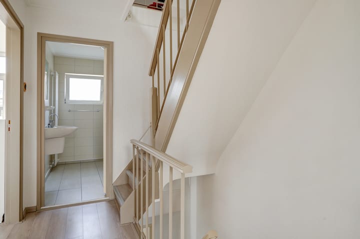 Foto 18 van Petunia 9