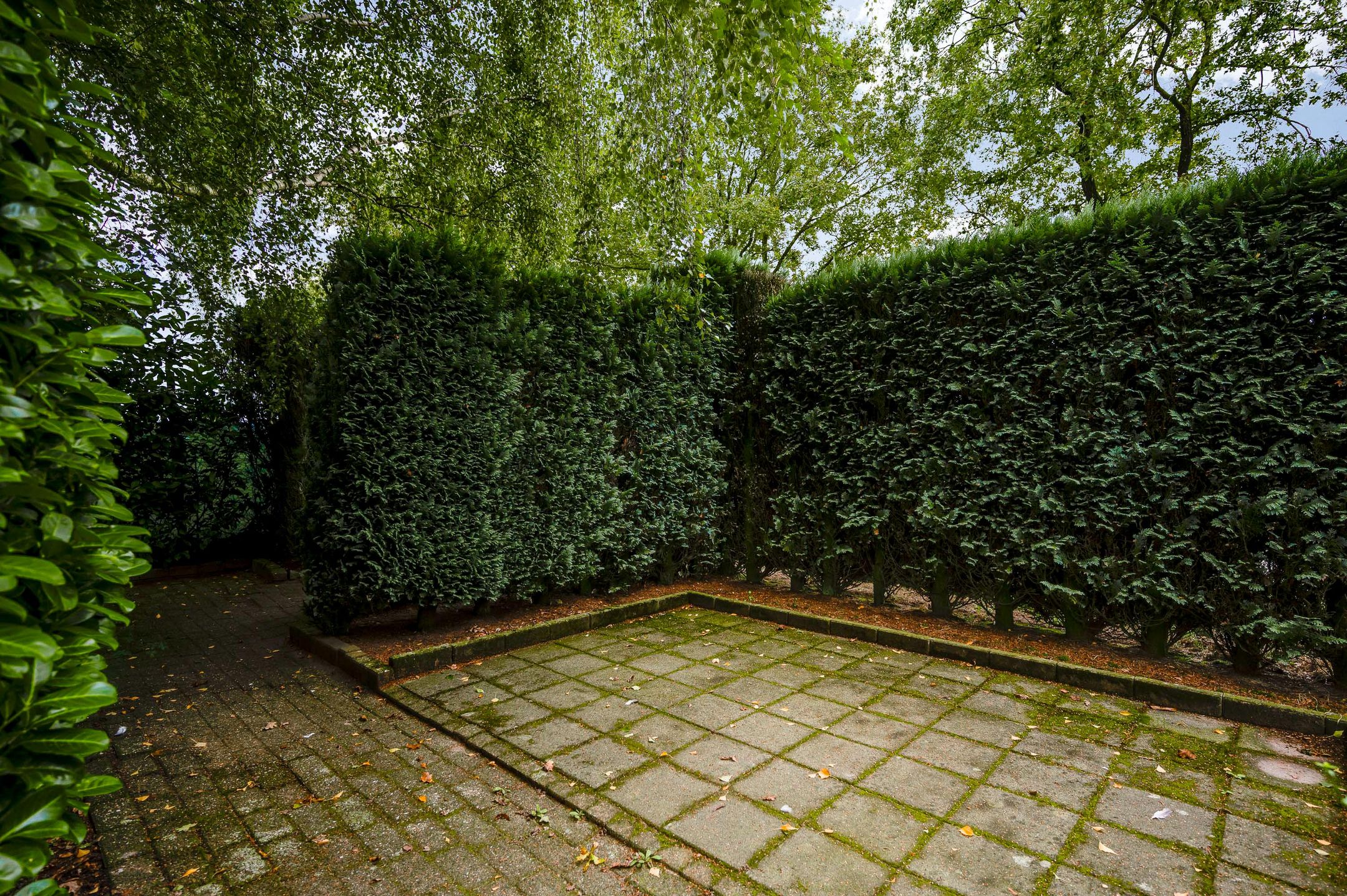 Foto 6 van Castertweg