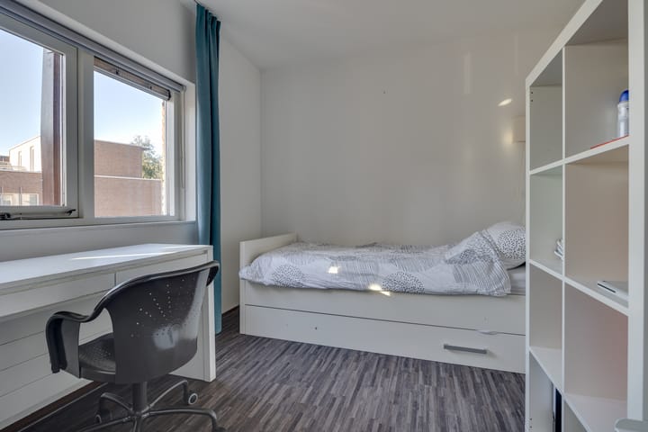 Foto 18 van Beeldentuin 5