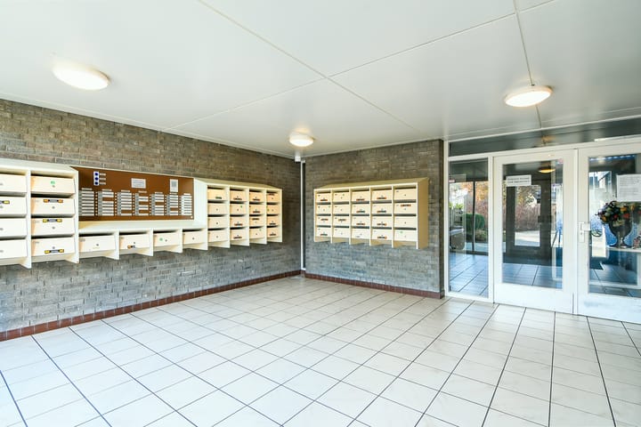 Foto 3 van Graan voor Visch 16122