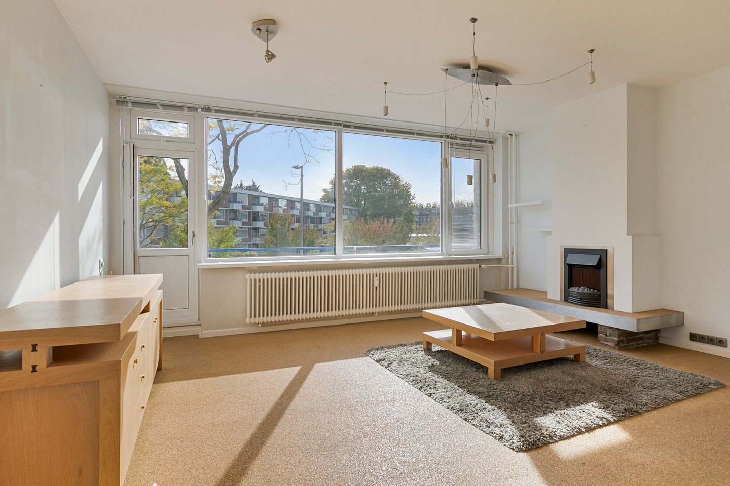 Foto 14 van Bierens de Haanweg 101