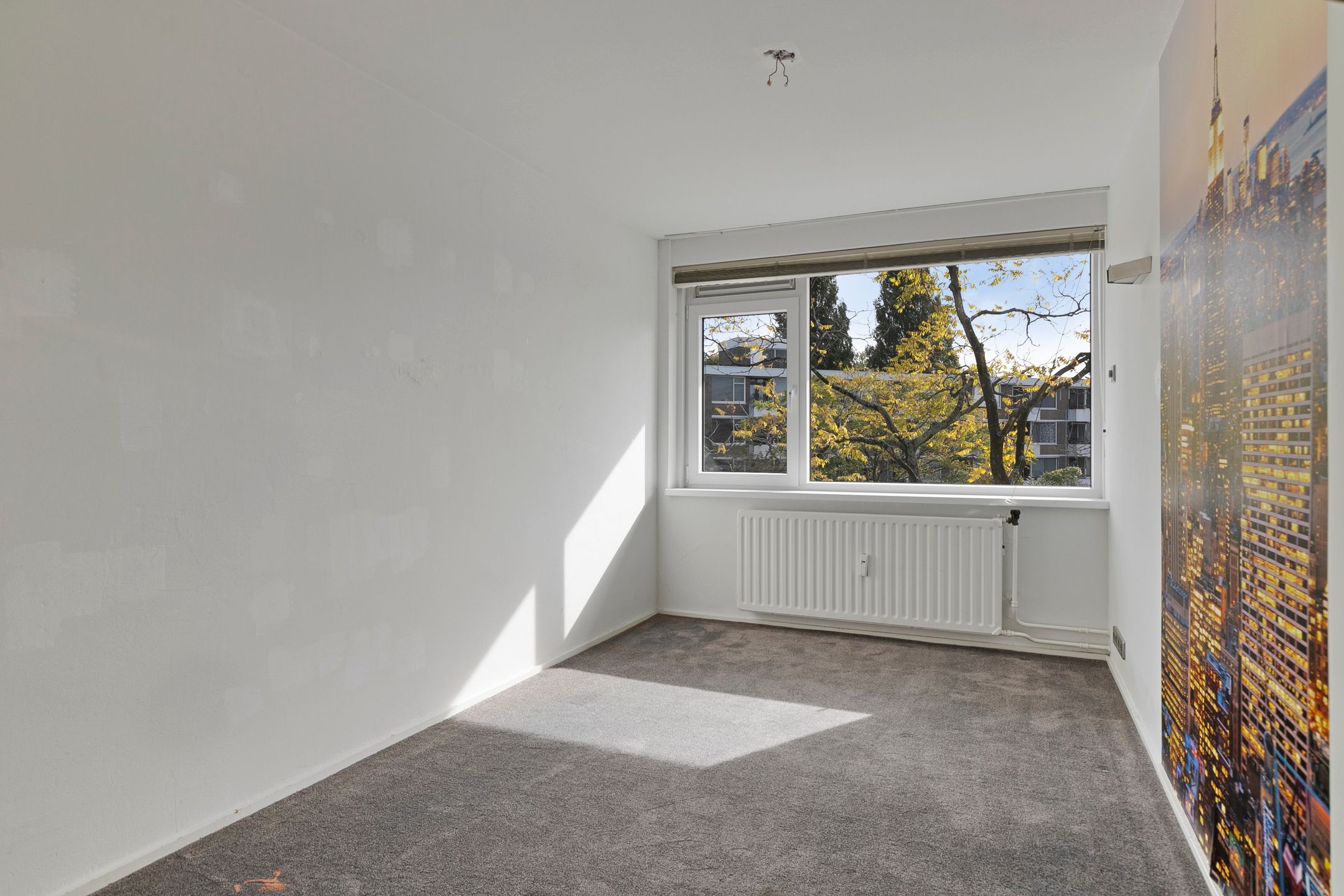 Foto 36 van Bierens de Haanweg 101