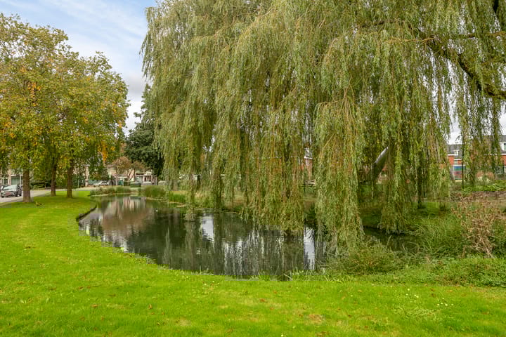 Foto 40 van Bierens de Haanweg 101