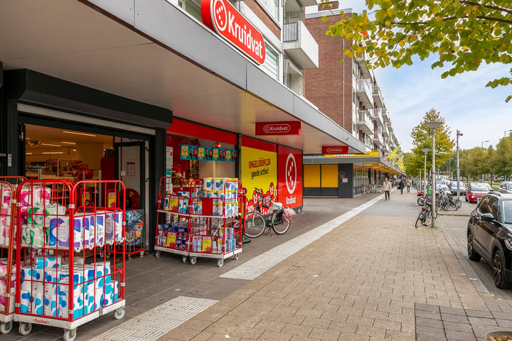 Bekijk foto 42 van Bierens de Haanweg 101