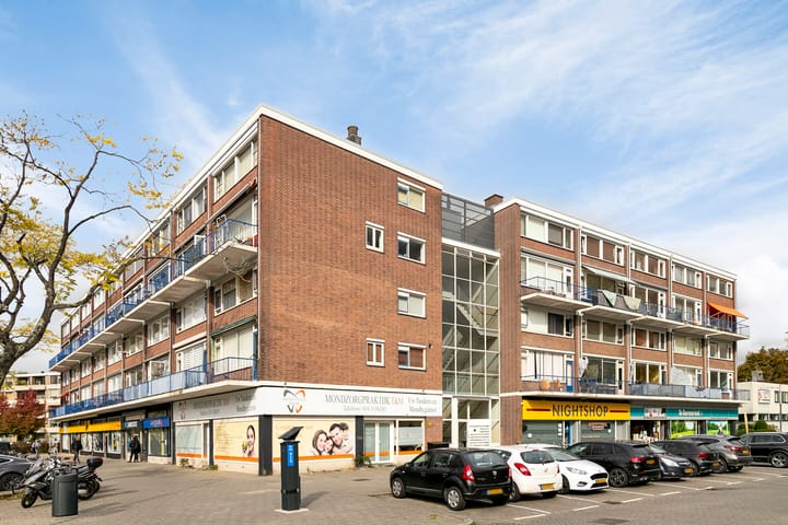 Foto 45 van Bierens de Haanweg 101