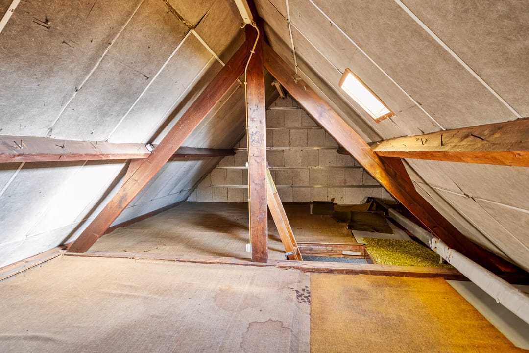 Foto 26 van Zandbergstraat 4