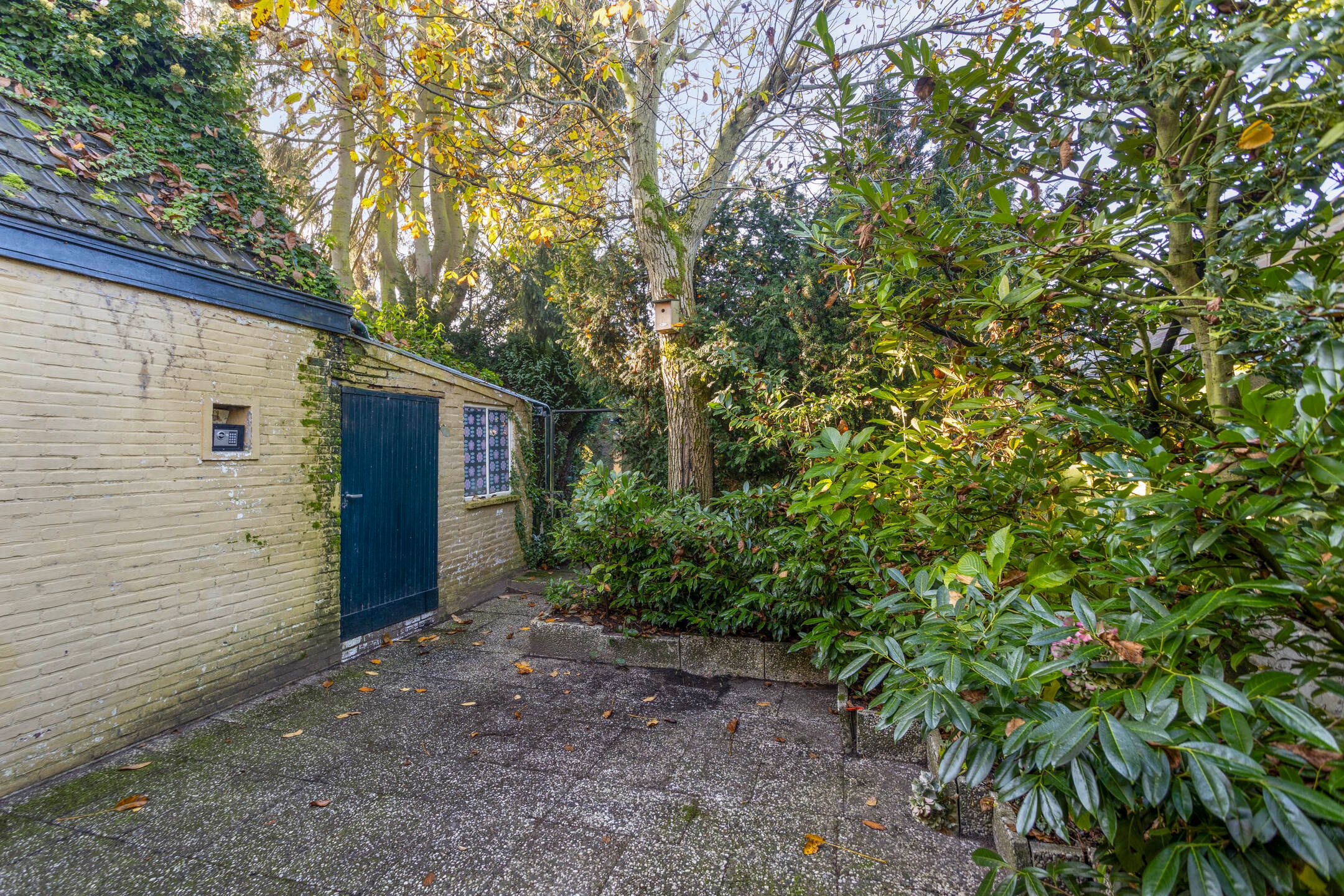 Foto 36 van Zandbergstraat 4