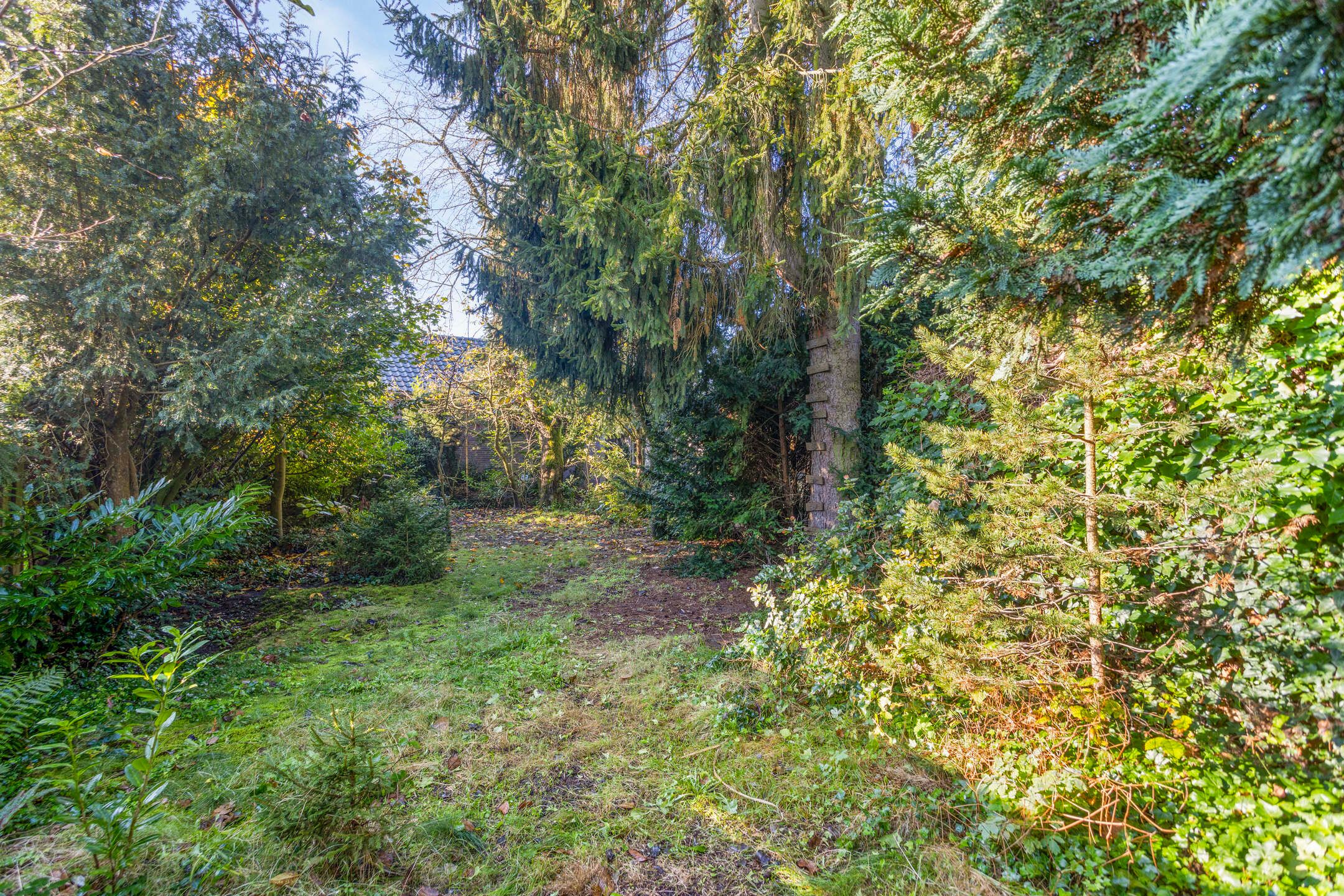 Foto 39 van Zandbergstraat 4