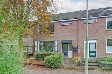 undefined main image