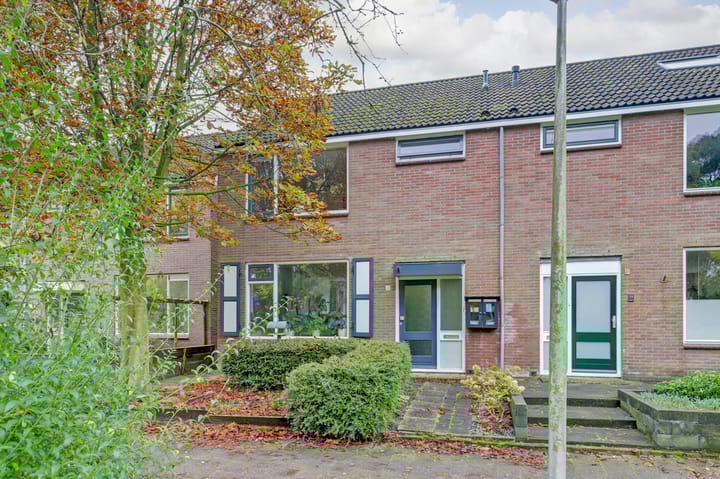 Foto 1 van Loevestein 32