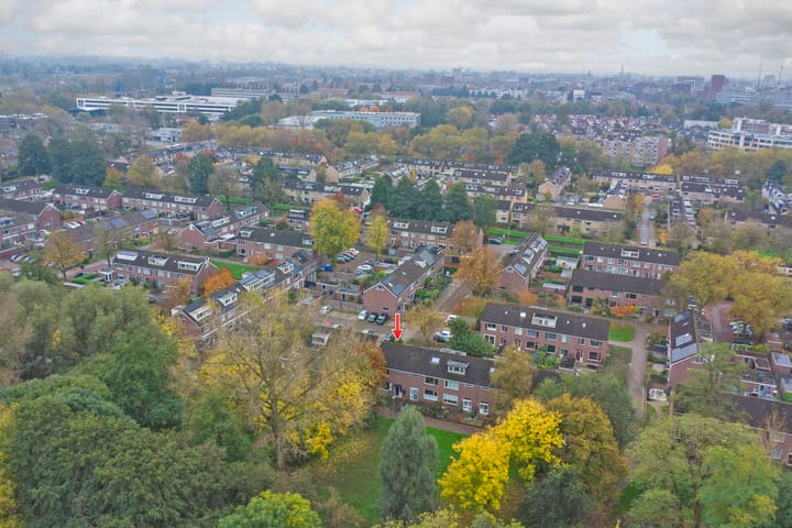 Foto 43 van Loevestein 32