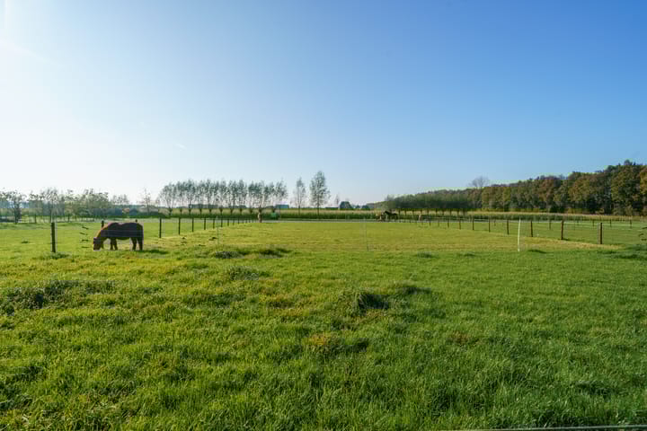 Foto 52 van Paradijsvogelweg 67