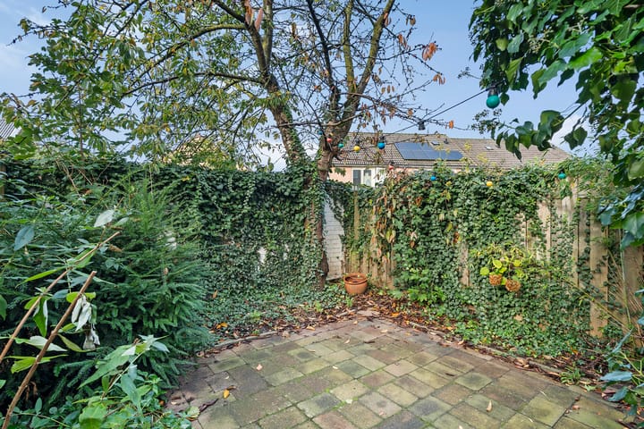 Foto 8 van Tollensstraat 137