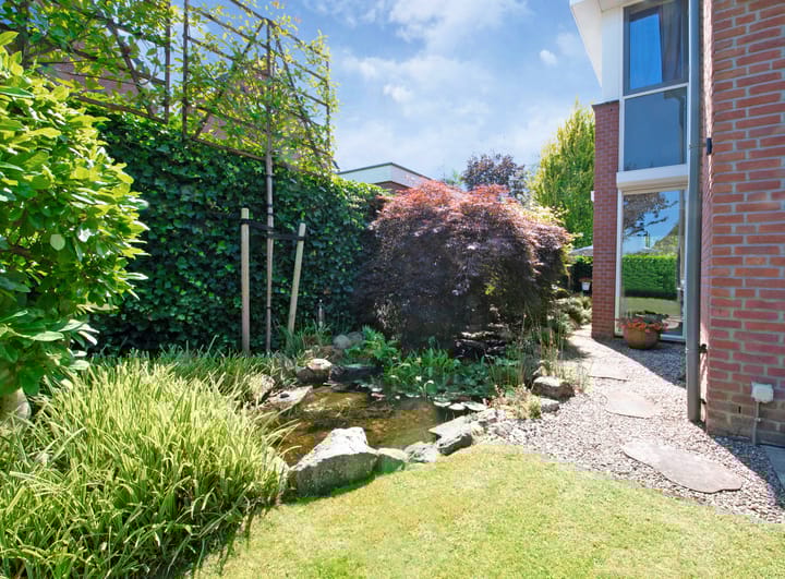 Photo 35 of Veldlust 2