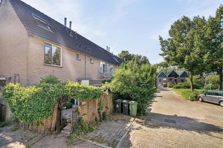 Foto 2 van Zilverschoon 37