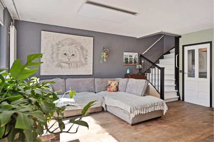 Foto 3 van Zilverschoon 37