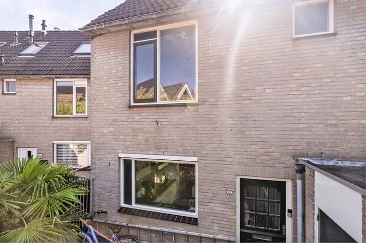 Photo 9 of Zilverschoon 37