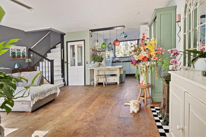 Photo 13 of Zilverschoon 37