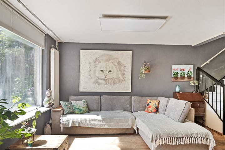 Photo 14 of Zilverschoon 37