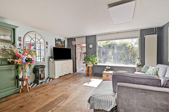 Photo 15 of Zilverschoon 37