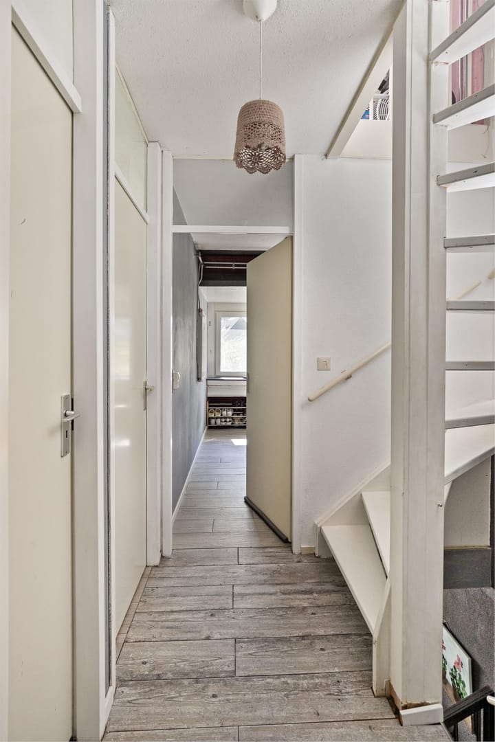 Photo 22 of Zilverschoon 37