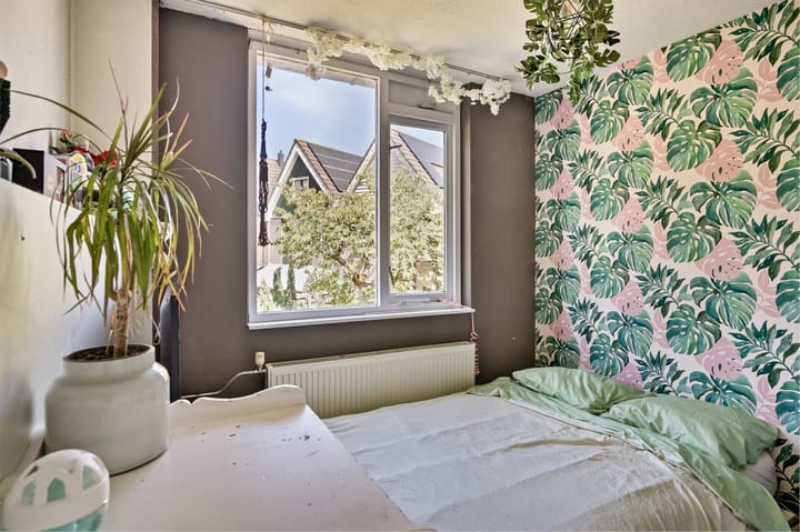 Photo 25 of Zilverschoon 37