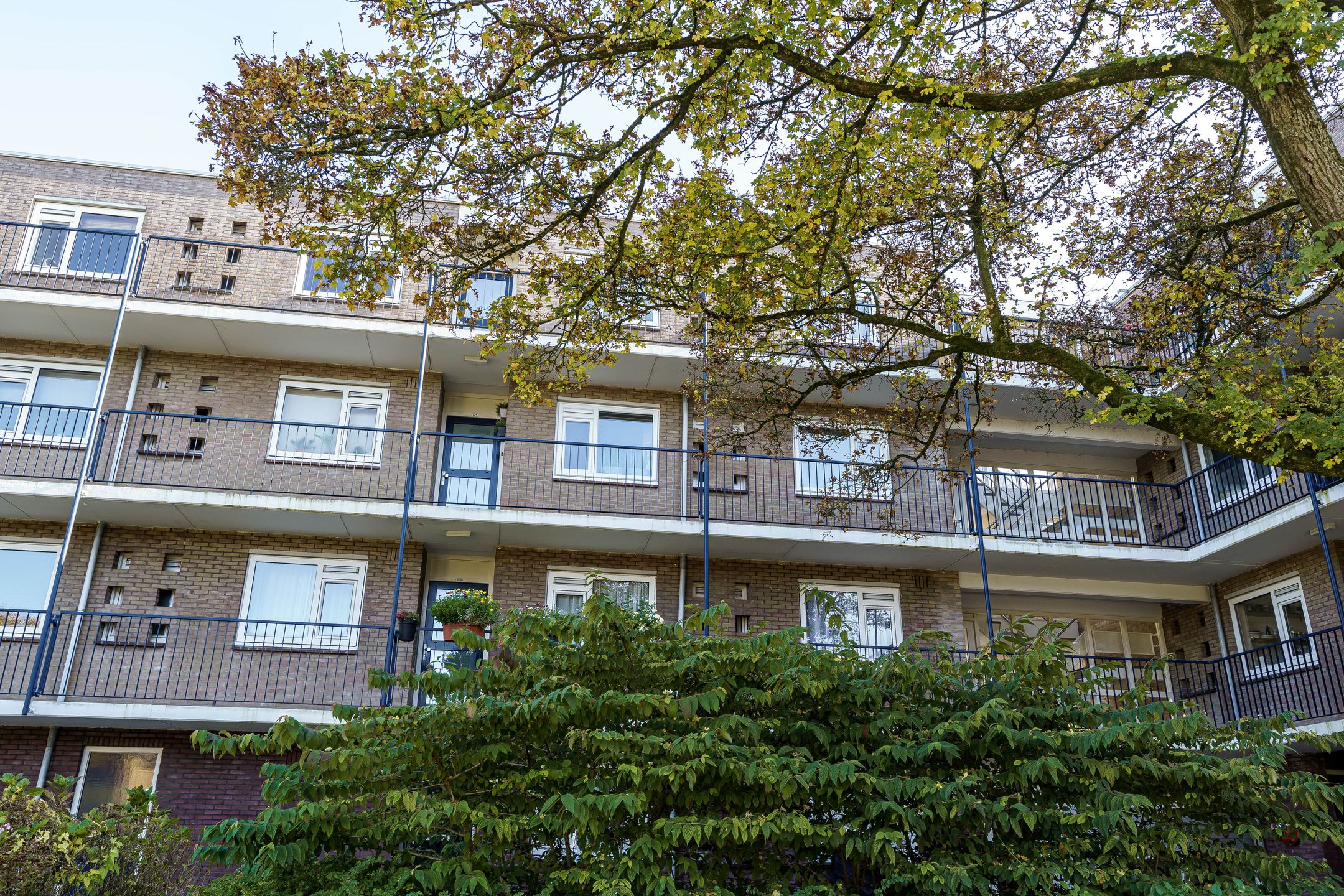 Foto 18 van Oostelijk Halfrond 125