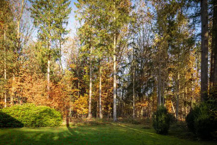 Foto 32 van Vijverlaan 26