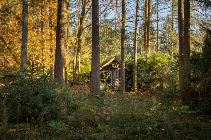 Bekijk foto 33 van Vijverlaan 26