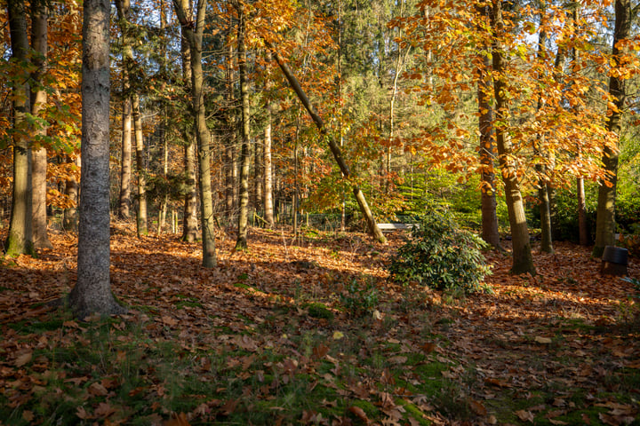 Bekijk foto 34 van Vijverlaan 26