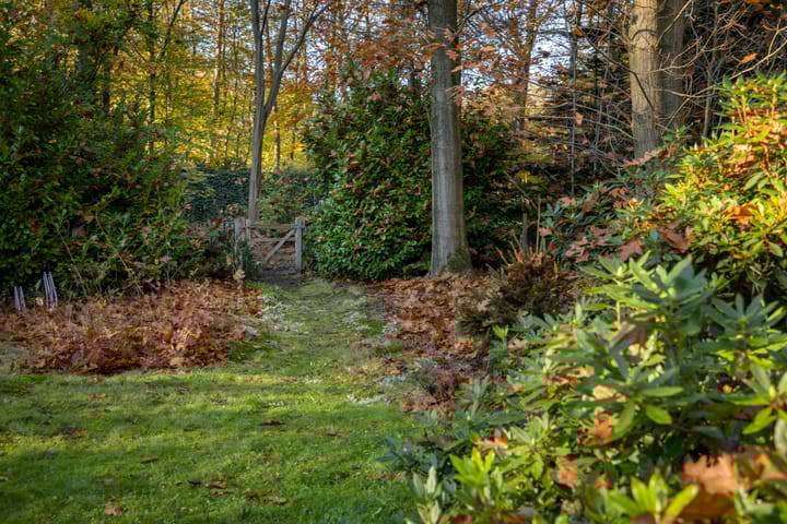 Foto 38 van Vijverlaan 26