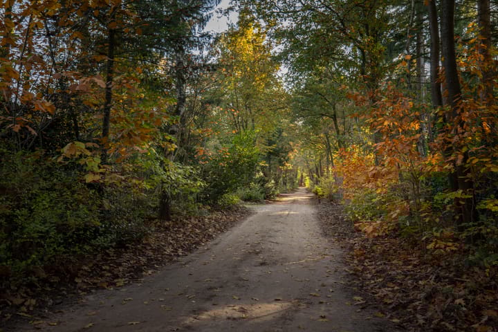 Foto 42 van Vijverlaan 26