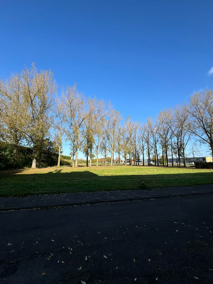 Foto 20 van Rijksweg Noord 320