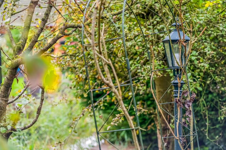 Foto 20 van Oude Groenestraat 6-199