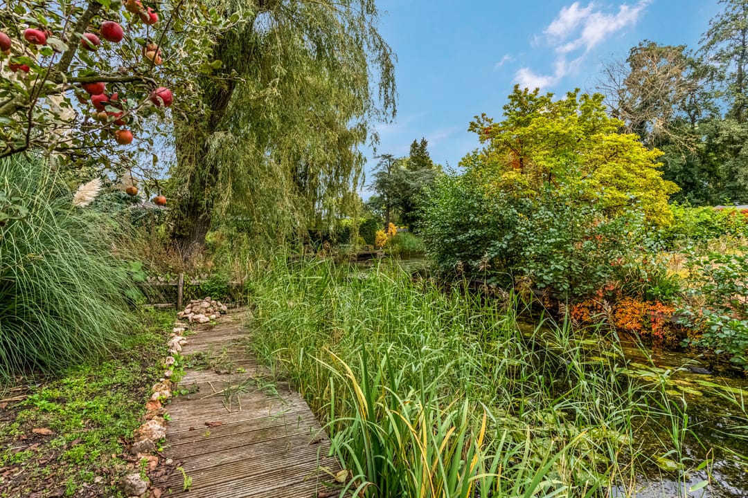 Foto 22 van Oude Groenestraat 6-199