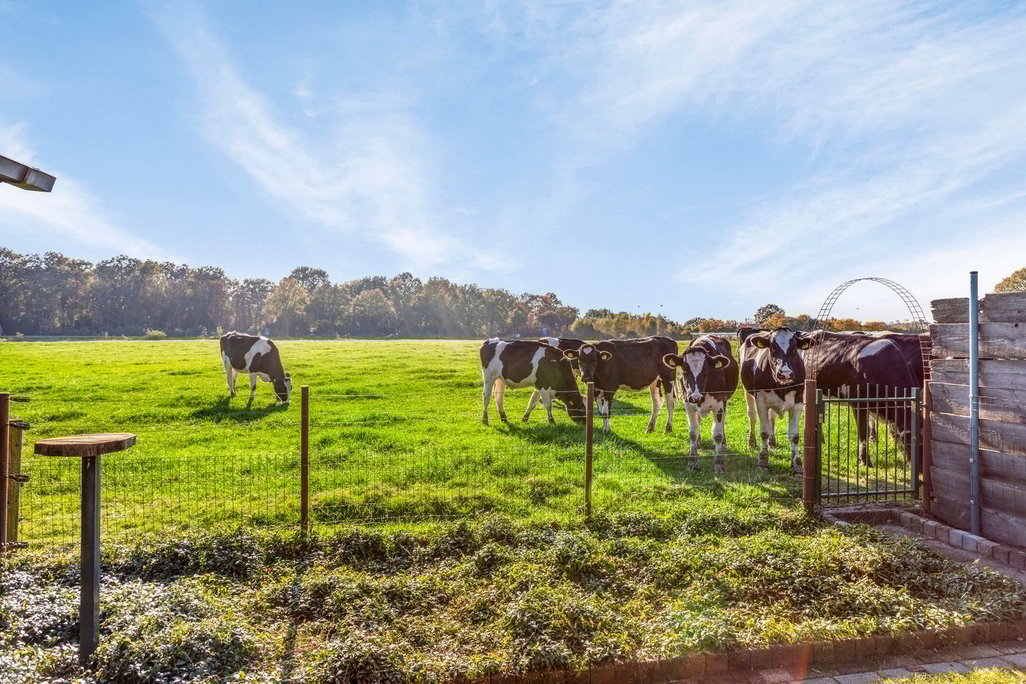 Foto 59 van Walsbergseweg 15