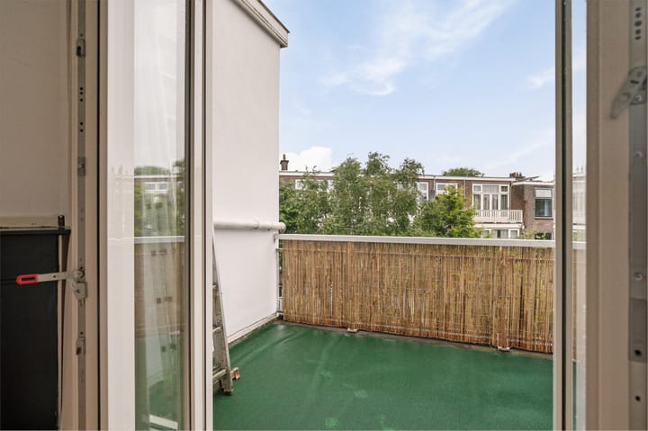 Foto 21 van Van Aerssenstraat 259-A