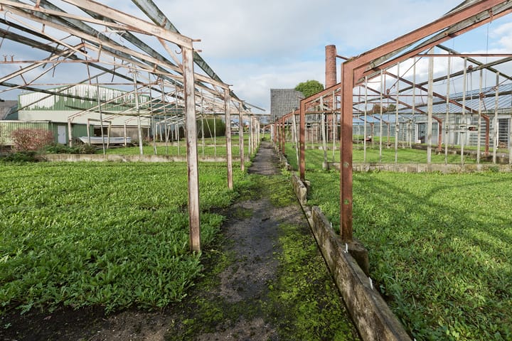 Foto 6 van Uiterweg 344